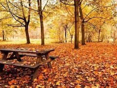 Gourmet & Relax Hotel De La Sure 写真