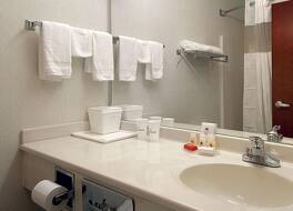 ラマダ リミテッド マウント スターリング 写真