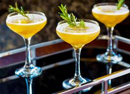 スプリングヒル スイーツ バイ マリオット シカゴ ダウンタウン リバー ノース 写真