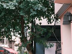 アゴラ ゲストハウス＆ホステル 写真