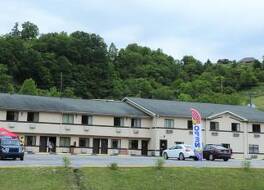 アメリカン エリート イン 写真