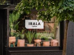 バイピロー イララ 写真