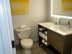 コンフォート イン & スイーツ アーリントン ハイツ - シャウムバーグ 写真