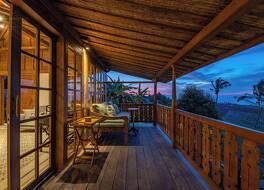 ウマ ルサ 写真