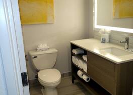 コンフォート イン & スイーツ アーリントン ハイツ - シャウムバーグ 写真