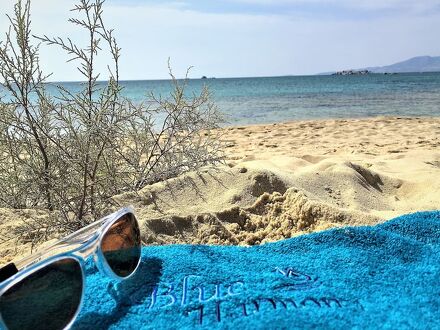 ブルー ハーモニー アパートメンツ 写真