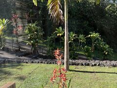 マンゴー サンセット ベッド アンド ブレックファスト 写真