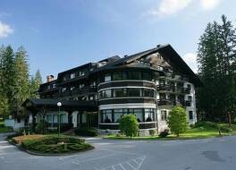 Ribno Alpine Hotel