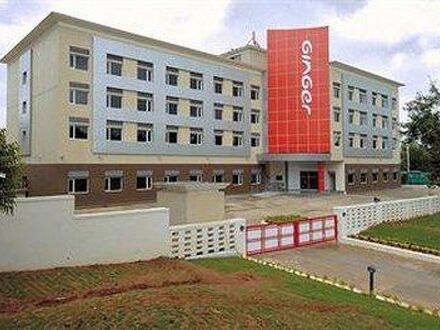 Ginger Mysore 写真