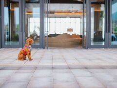 Hyatt Regency Sanya Tianli Bay 写真