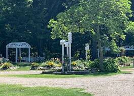 ヴィンテージ イン アット ヴェリタス エステート 写真