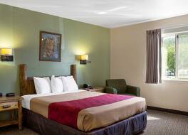 エコノ ロッジ カスター 写真