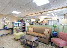 クオリティ イン レバノン 写真