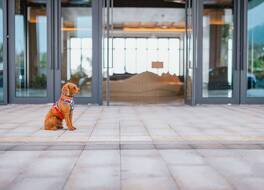 Hyatt Regency Sanya Tianli Bay 写真