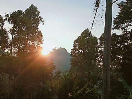 Littleadems View 写真