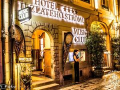 U ズラティホ ストロム ホテル 写真