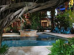 エコホテル エル レイ デル カリベ 写真