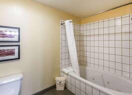 コンフォート イン & スイーツ ノース オーロラ - ネーパーヴィル 写真