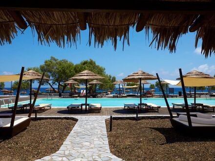 ブラック ローズ スイーツ 写真