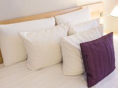 ホテル メルキュール トゥール サントル ガール エ コングレ 写真