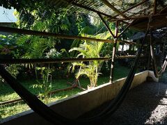 チェリー ガーデン 写真