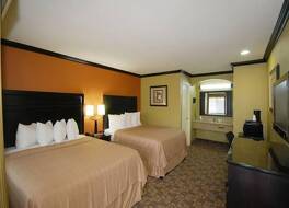 クオリティ イン チーコ+H5284 写真