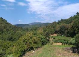 Palia's Hotel 写真