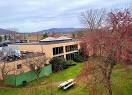 コルティナ イン 写真