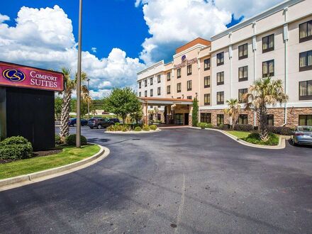 コンフォート スイーツ シンプソンビル - グリーンビル 写真