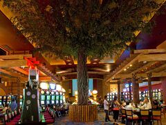 サンダーバード リゾーツ ポロ ポイント 写真