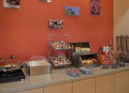 TownePlace Suites by Marriott Detroit Troy 写真