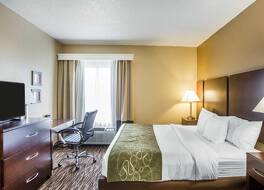 コンフォート スイーツ レバノン 写真