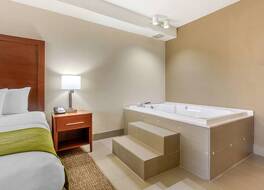 コンフォート イン レノア シティ-ノックスビル 写真