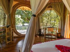 マリンギスンバ 写真