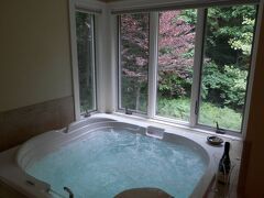 ピジョン クリーク イン 写真