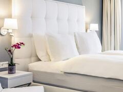 メルキュール ホテル ラファエル ウィーン 写真