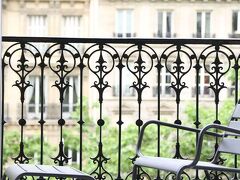 ステラ エトワール 写真