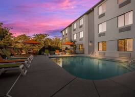 クラリオン ポイント セビアビル-ピジョン フォージ 写真