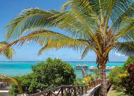 ル マルセンン ザンジバル  オートグラフ コレクション 写真