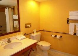 ホリデイ イン エクスプレス ピジョン フォージ / ニア ドリーウッド by IHG 写真