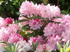 シティ センター モーテル 写真