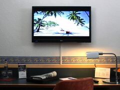 AMBER ECONTEL 写真