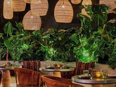 ハリウッド ボリューム、ア トリビュート ポートフォリオ ホテル 写真