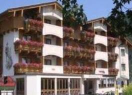 アルペンホテル チレルホフ 写真