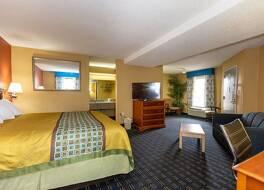 シェルビー イン 写真