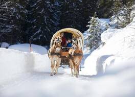 Familienparadies Sporthotel Achensee - FAMILIES ONLY 写真