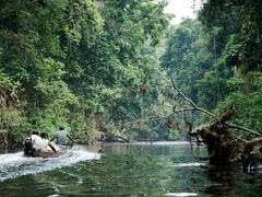 Mutiara Taman Negara 写真