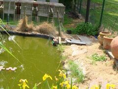 エレッカーリックイン イン ホテル 写真