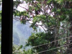 Littleadems View 写真