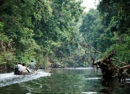 Mutiara Taman Negara 写真